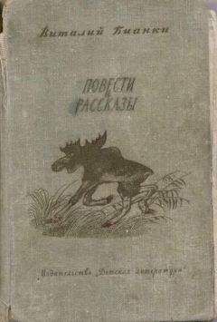 Виталий Бианки - Повести и рассказы - Читать 📖 Читать онлайн 👀 Читаемые книги читать онлайн бесплатно 🔥 booksread-online.com