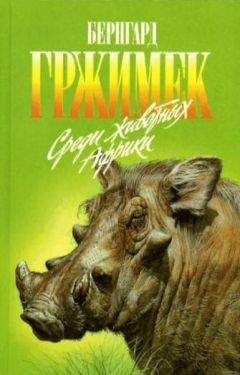Бернгард Гржимек - Среди животных Африки - Читать 📖 Читать онлайн 👀 Читаемые книги читать онлайн бесплатно 🔥 booksread-online.com
