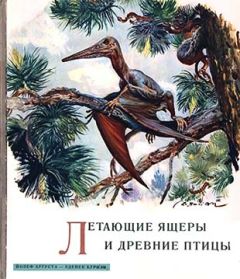 Йозеф Аугуста - Летающие ящеры и древние птицы - Читать 📖 Читать онлайн 👀 Читаемые книги читать онлайн бесплатно 🔥 booksread-online.com