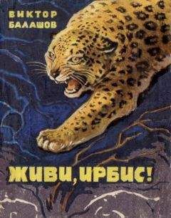 Виктор Балашов - Живи, ирбис! - Читать 📖 Читать онлайн 👀 Читаемые книги читать онлайн бесплатно 🔥 booksread-online.com