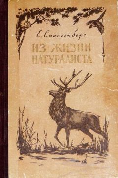 Евгений Спангенберг - Записки натуралиста - Читать 📖 Читать онлайн 👀 Читаемые книги читать онлайн бесплатно 🔥 booksread-online.com