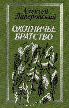 Алексей Ливеровский - Охотничье братство - Читать 📖 Читать онлайн 👀 Читаемые книги читать онлайн бесплатно 🔥 booksread-online.com