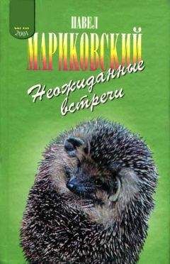 Павел Мариковский - Неожиданные встречи - Читать 📖 Читать онлайн 👀 Читаемые книги читать онлайн бесплатно 🔥 booksread-online.com