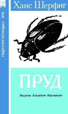 Ханс Шерфиг - Пруд - Читать 📖 Читать онлайн 👀 Читаемые книги читать онлайн бесплатно 🔥 booksread-online.com
