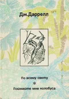 Джеральд Даррелл - По всему свету - Читать 📖 Читать онлайн 👀 Читаемые книги читать онлайн бесплатно 🔥 booksread-online.com