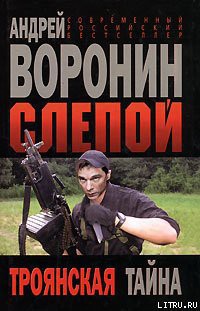 Троянская тайна - Воронин Андрей Николаевич - Читать | Читать онлайн | Читаемые книги читать онлайн бесплатно | booksread-online.com