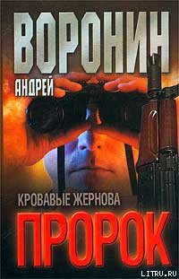 Кровавые жернова - Воронин Андрей Николаевич - Читать 📖 Читать онлайн 👀 Читаемые книги читать онлайн бесплатно 🔥 booksread-online.com