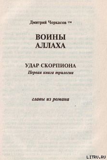 Воины аллаха. Удар скорпиона - Черкасов Дмитрий - Читать 📖 Читать онлайн 👀 Читаемые книги читать онлайн бесплатно 🔥 booksread-online.com