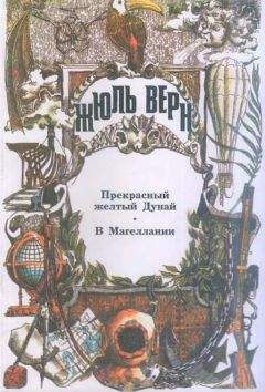 Жюль Верн - В Магеллании - Читать 📖 Читать онлайн 👀 Читаемые книги читать онлайн бесплатно 🔥 booksread-online.com