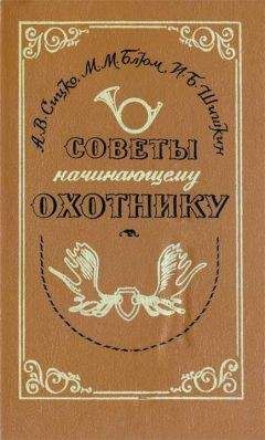 Алексей Сицко - Советы начинающему охотнику - Читать | Читать онлайн | Читаемые книги читать онлайн бесплатно | booksread-online.com