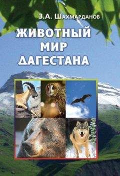 Зияудин Шахмарданов - Животный мир Дагестана - Читать 📖 Читать онлайн 👀 Читаемые книги читать онлайн бесплатно 🔥 booksread-online.com