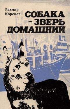 Радмир Коренев - Собака — зверь домашний (Первое издание) - Читать 📖 Читать онлайн 👀 Читаемые книги читать онлайн бесплатно 🔥 booksread-online.com