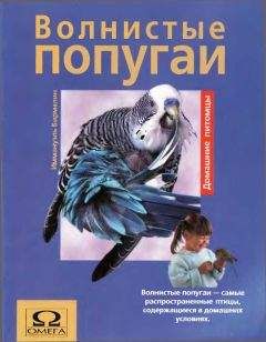 Иммануэль Бирмелин - Волнистые попугаи - Читать 📖 Читать онлайн 👀 Читаемые книги читать онлайн бесплатно 🔥 booksread-online.com