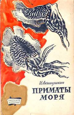 Игорь Акимушкин - Приматы моря - Читать 📖 Читать онлайн 👀 Читаемые книги читать онлайн бесплатно 🔥 booksread-online.com
