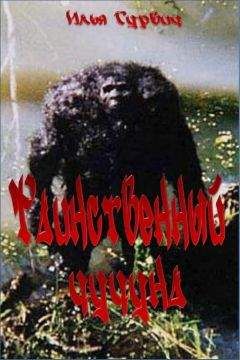 Илья Гурвич - Таинственный чучуна - Читать 📖 Читать онлайн 👀 Читаемые книги читать онлайн бесплатно 🔥 booksread-online.com