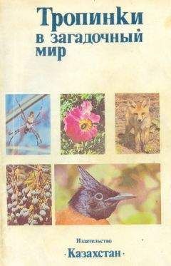 А. Ковшарь - Тропинки в загадочный мир [с иллюстрациями] - Читать 📖 Читать онлайн 👀 Читаемые книги читать онлайн бесплатно 🔥 booksread-online.com