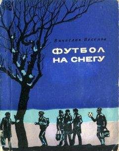 Вячеслав Веселов - Футбол на снегу - Читать 📖 Читать онлайн 👀 Читаемые книги читать онлайн бесплатно 🔥 booksread-online.com