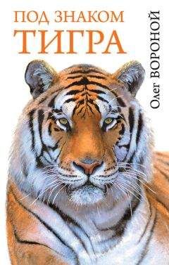 Олег Вороной - Под знаком тигра - Читать 📖 Читать онлайн 👀 Читаемые книги читать онлайн бесплатно 🔥 booksread-online.com