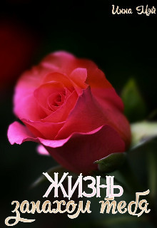 Жизнь запахом тебя (СИ) - Мэй Инна - Читать 📖 Читать онлайн 👀 Читаемые книги читать онлайн бесплатно 🔥 booksread-online.com