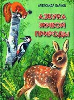 Александр Барков - Азбука живой природы - Читать 📖 Читать онлайн 👀 Читаемые книги читать онлайн бесплатно 🔥 booksread-online.com