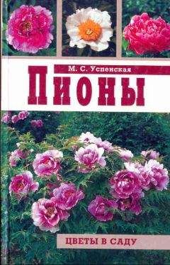 Марианна Успенская - Пионы - Читать 📖 Читать онлайн 👀 Читаемые книги читать онлайн бесплатно 🔥 booksread-online.com