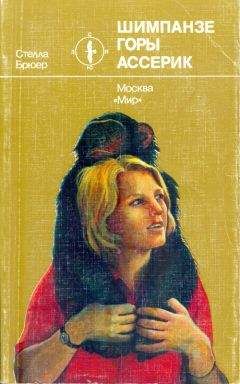 Стелла Брюер - Шимпанзе горы Ассерик - Читать 📖 Читать онлайн 👀 Читаемые книги читать онлайн бесплатно 🔥 booksread-online.com