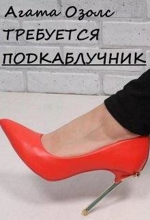 Требуется подкаблучник (СИ) - Озолс Агата - Читать | Читать онлайн | Читаемые книги читать онлайн бесплатно | booksread-online.com