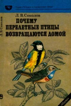 Леонид Соколов - Почему перелетные птицы возвращаются домой - Читать 📖 Читать онлайн 👀 Читаемые книги читать онлайн бесплатно 🔥 booksread-online.com