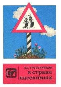 Виктор Гребенников - В стране насекомых. Записки и зарисовки энтомолога и художника. - Читать 📖 Читать онлайн 👀 Читаемые книги читать онлайн бесплатно 🔥 booksread-online.com