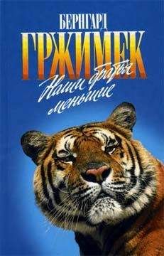 Бернгард Гржимек - Наши братья меньшие - Читать 📖 Читать онлайн 👀 Читаемые книги читать онлайн бесплатно 🔥 booksread-online.com