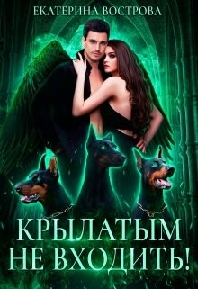 Крылатым не входить! (СИ) - Вострова Екатерина - Читать Читать онлайн Читаемые книги читать онлайн бесплатно booksread-online.com