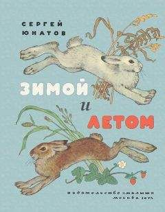 Сергей Юнатов - Зимой и летом - Читать 📖 Читать онлайн 👀 Читаемые книги читать онлайн бесплатно 🔥 booksread-online.com