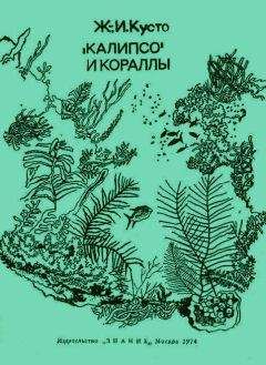 Жак-Ив Кусто - «Калипсо» и кораллы - Читать 📖 Читать онлайн 👀 Читаемые книги читать онлайн бесплатно 🔥 booksread-online.com