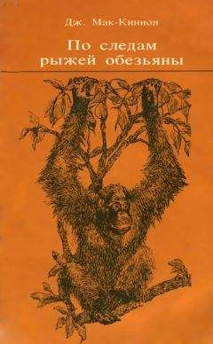 Джон Мак-Киннон - По следам рыжей обезьяны - Читать 📖 Читать онлайн 👀 Читаемые книги читать онлайн бесплатно 🔥 booksread-online.com
