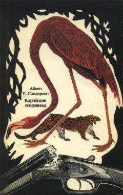 Айвен Сандерсон - Карибские сокровища - Читать 📖 Читать онлайн 👀 Читаемые книги читать онлайн бесплатно 🔥 booksread-online.com