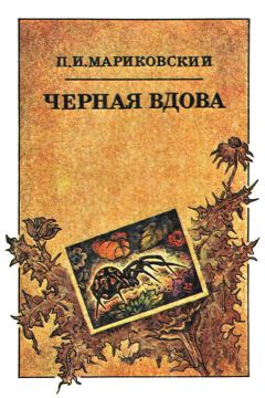 Павел Мариковский - Черная вдова - Читать 📖 Читать онлайн 👀 Читаемые книги читать онлайн бесплатно 🔥 booksread-online.com