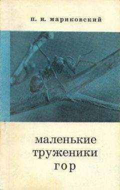 Павел Мариковский - Маленькие труженики гор - Читать 📖 Читать онлайн 👀 Читаемые книги читать онлайн бесплатно 🔥 booksread-online.com