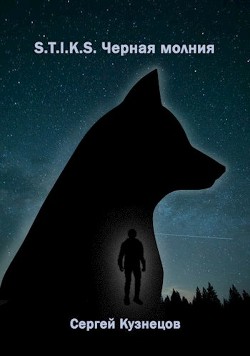 S-T-I-K-S. Чёрная Молния (СИ) - Кузнецов Сергей - Читать | Читать онлайн | Читаемые книги читать онлайн бесплатно | booksread-online.com
