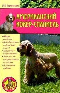 Марина Куропаткина - Американский кокер-спаниель - Читать 📖 Читать онлайн 👀 Читаемые книги читать онлайн бесплатно 🔥 booksread-online.com