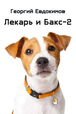 Лекарь и Бакс-2 (СИ) - Евдокимов Георгий - Читать Читать онлайн Читаемые книги читать онлайн бесплатно booksread-online.com
