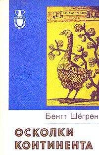 Бенгт Шёгрен - Осколки континента - Читать 📖 Читать онлайн 👀 Читаемые книги читать онлайн бесплатно 🔥 booksread-online.com