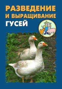 Илья Мельников - Разведение и выращивание гусей - Читать 📖 Читать онлайн 👀 Читаемые книги читать онлайн бесплатно 🔥 booksread-online.com