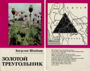 Богуслав Шнайдер - Золотой треугольник - Читать 📖 Читать онлайн 👀 Читаемые книги читать онлайн бесплатно 🔥 booksread-online.com