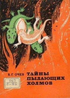 Виталий Очев - Тайны пылающих холмов - Читать 📖 Читать онлайн 👀 Читаемые книги читать онлайн бесплатно 🔥 booksread-online.com