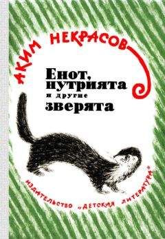 Аким Некрасов - Енот, нутрията и другие зверята - Читать 📖 Читать онлайн 👀 Читаемые книги читать онлайн бесплатно 🔥 booksread-online.com