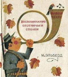 М. Эльберд - Воспоминания охотничьей собаки - Читать 📖 Читать онлайн 👀 Читаемые книги читать онлайн бесплатно 🔥 booksread-online.com