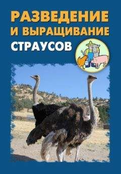 Илья Мельников - Разведение и выращивание страусов - Читать 📖 Читать онлайн 👀 Читаемые книги читать онлайн бесплатно 🔥 booksread-online.com
