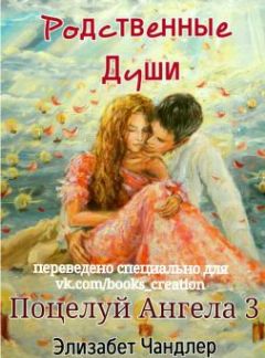 Элизабет Чандлер - Родственные души - Читать | Читать онлайн | Читаемые книги читать онлайн бесплатно | booksread-online.com
