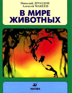 Николай Дроздов - В мире животных - Читать 📖 Читать онлайн 👀 Читаемые книги читать онлайн бесплатно 🔥 booksread-online.com