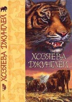 А. Хублон - Хозяева джунглей. Рассказы о тиграх и слонах - Читать 📖 Читать онлайн 👀 Читаемые книги читать онлайн бесплатно 🔥 booksread-online.com